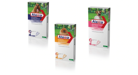 ATAXXA un antiparasitaire efficace