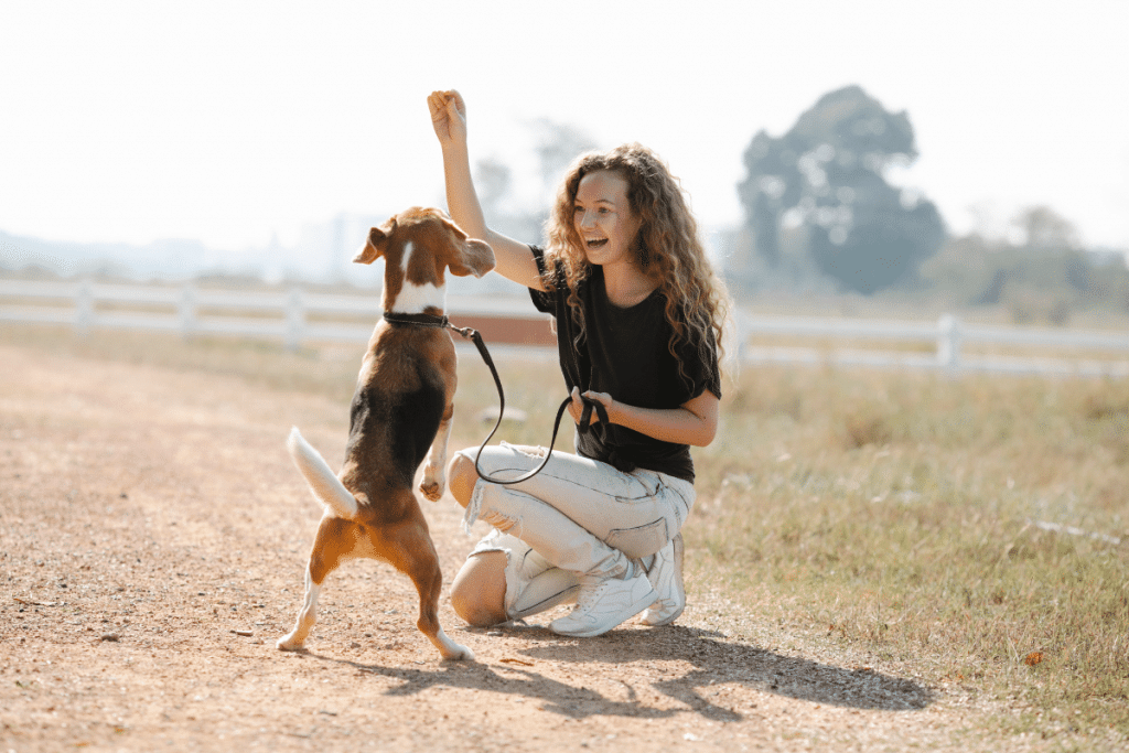 Apprendre le calme à son chien