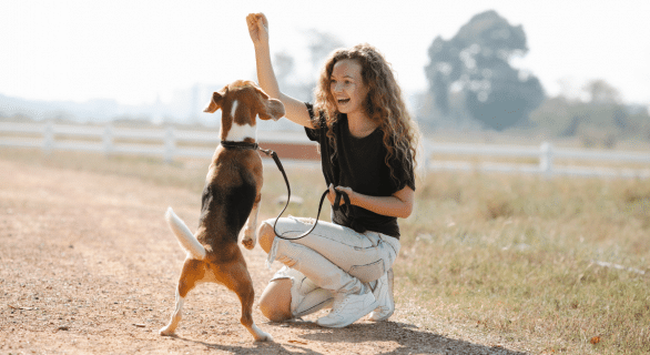Apprendre le calme à son chien