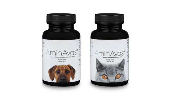 aminavast-complement-alimentaire-reins