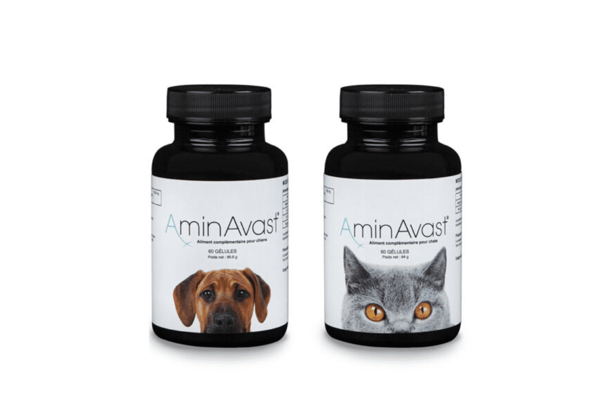 aminavast-complement-alimentaire-reins