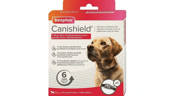 Canishield contre les puces, les tiques et les phlébotomes