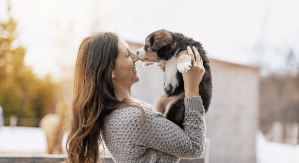 Ce qu'il faut savoir avant d'adopter un chien