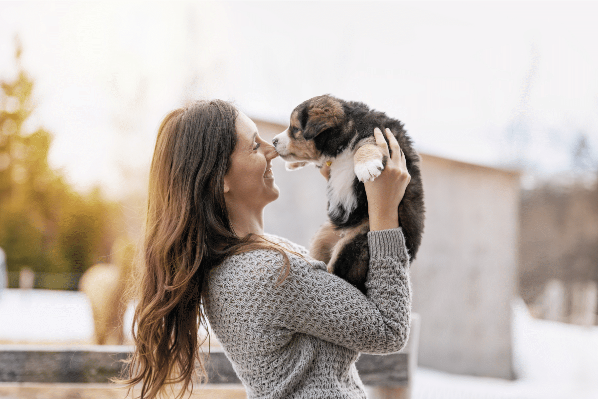 Ce qu'il faut savoir avant d'adopter un chien