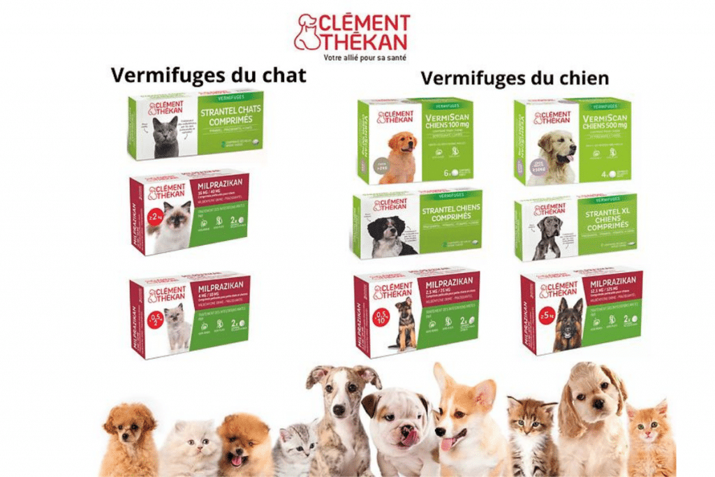 Clément Thekan des vermifuges en pharmacie pour chiens et chats