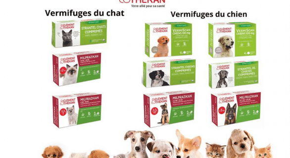 Clément Thekan des vermifuges en pharmacie pour chiens et chats