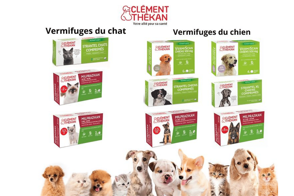 Clément Thekan des vermifuges en pharmacie pour chiens et chats
