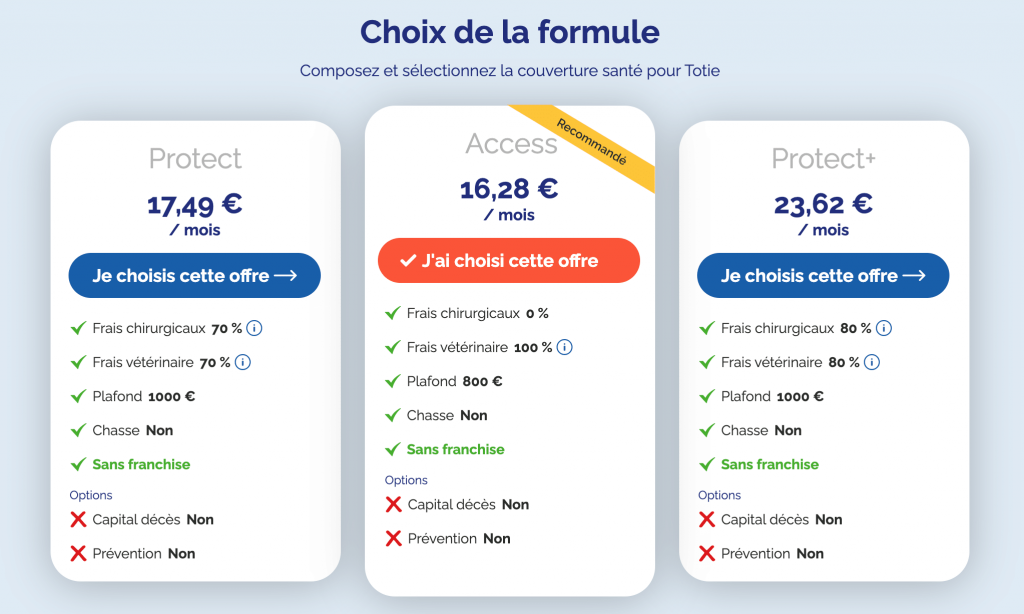 Prix des formules pour un chat de 4 ans