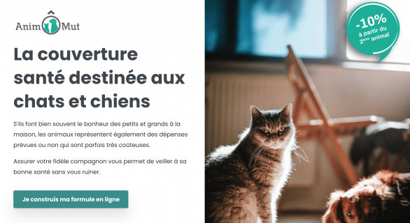 avis animomut