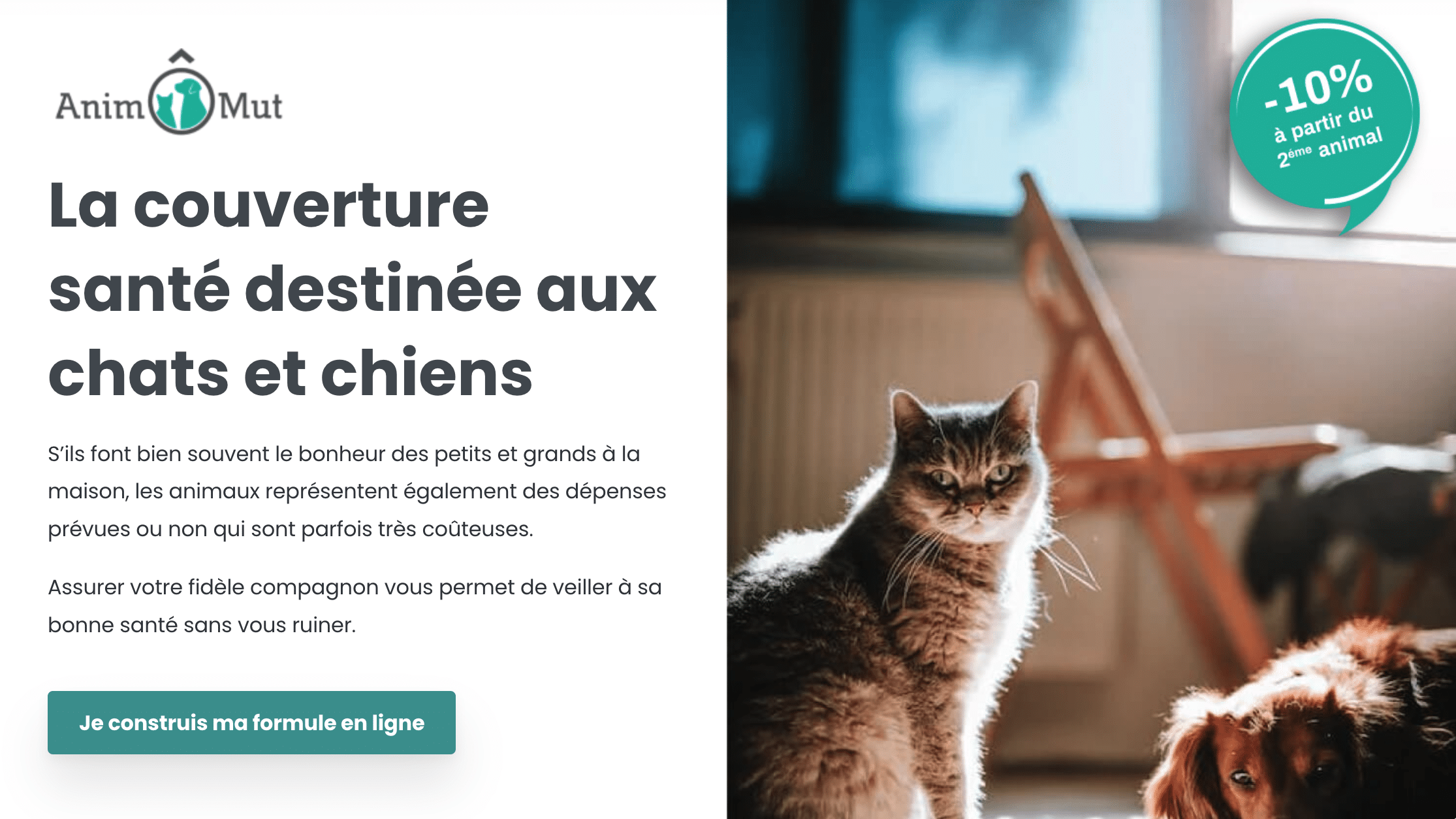 avis animomut