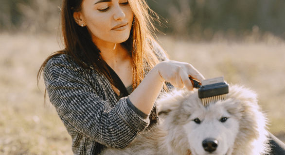 Comment bien entretenir le pelage de son chien ?