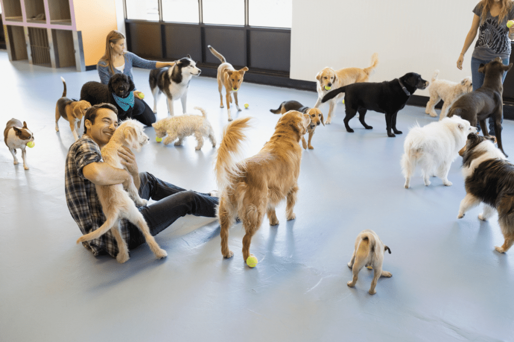 Les meilleures astuces pour faire garder votre chien quand vous partez en vacances