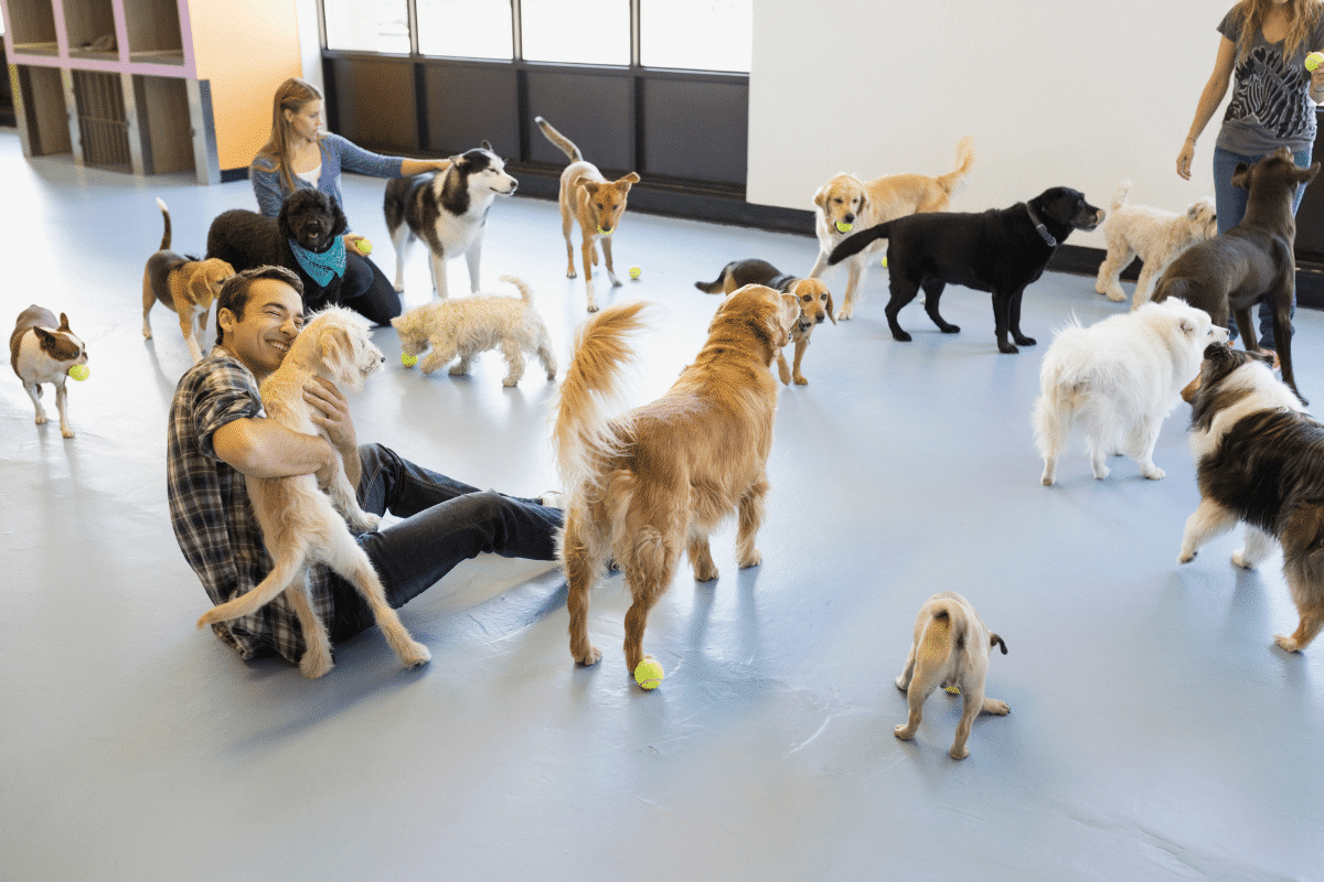 Les meilleures astuces pour faire garder votre chien quand vous partez en vacances