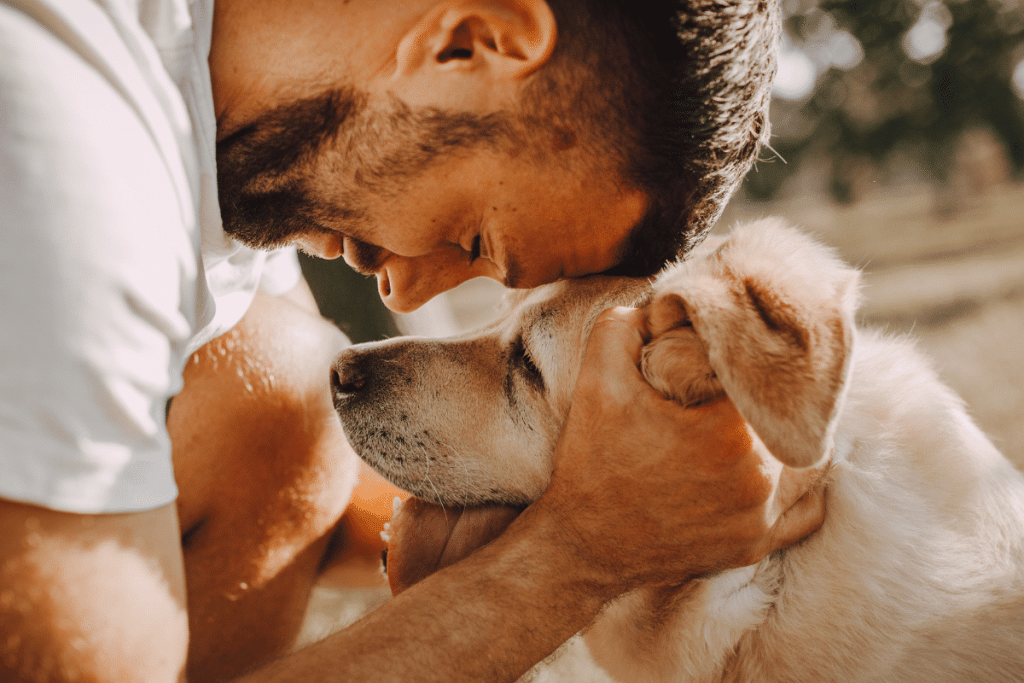 Bien gérer la fin de vie du chien