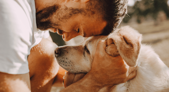 Bien gérer la fin de vie du chien