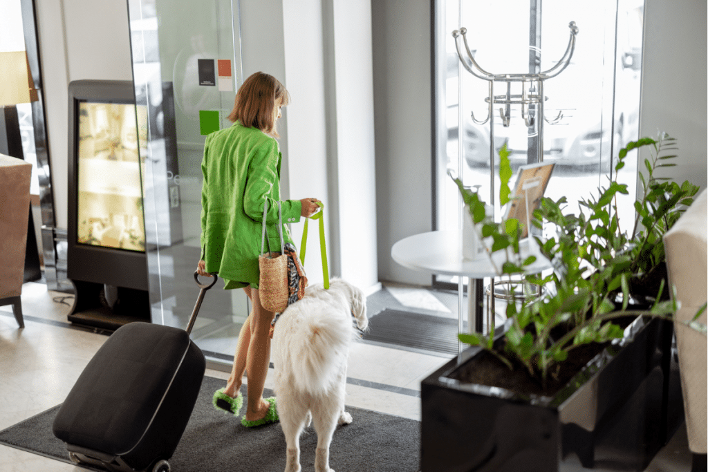 Trouver le logement parfait pour voyager avec votre chien