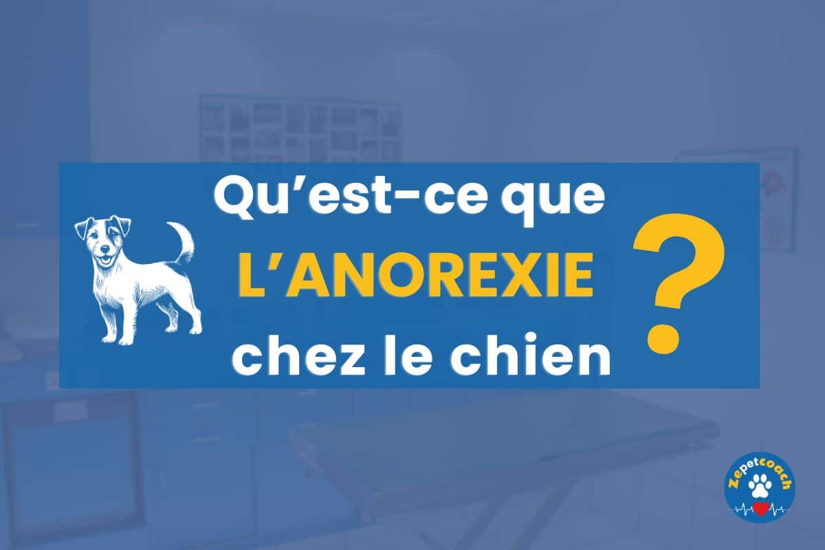 anorexie chie