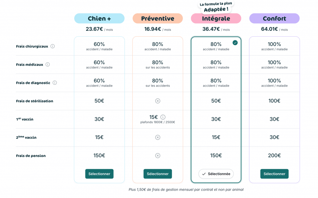 Simulation de devis pour un chien avec Assur O’Poil