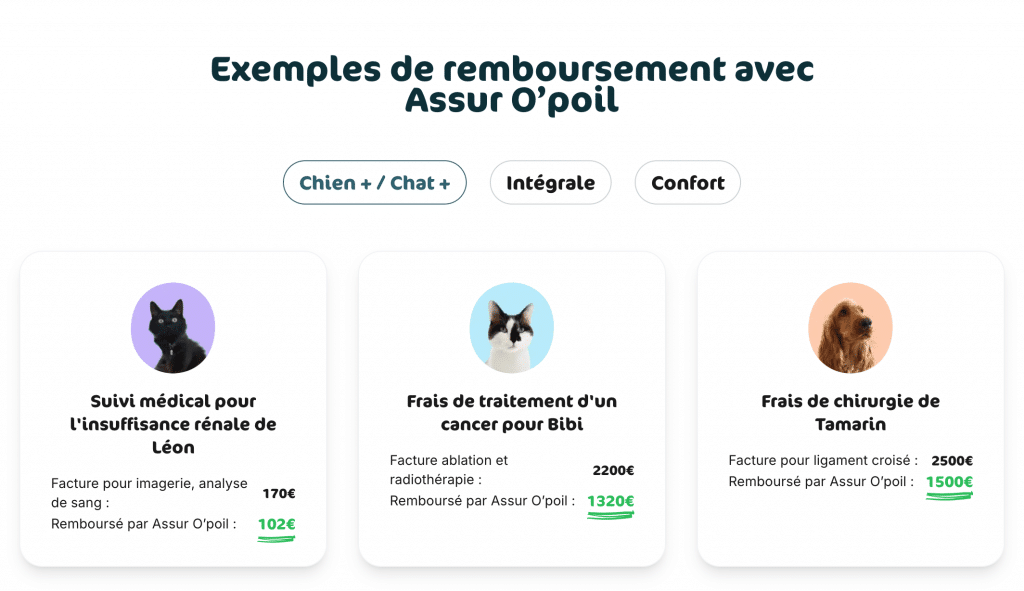 Exemples de remboursement avec la formule chien + chat + Assur O'poil