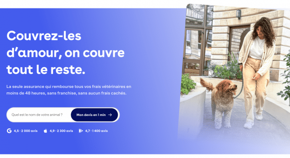 Dalma avis, prix, carence et devis (2025)