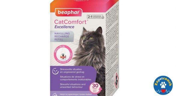 CatComfort® Excellence
