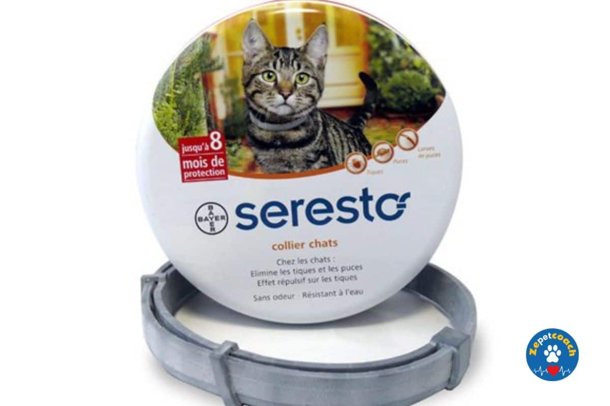 Collier Seresto Chat
