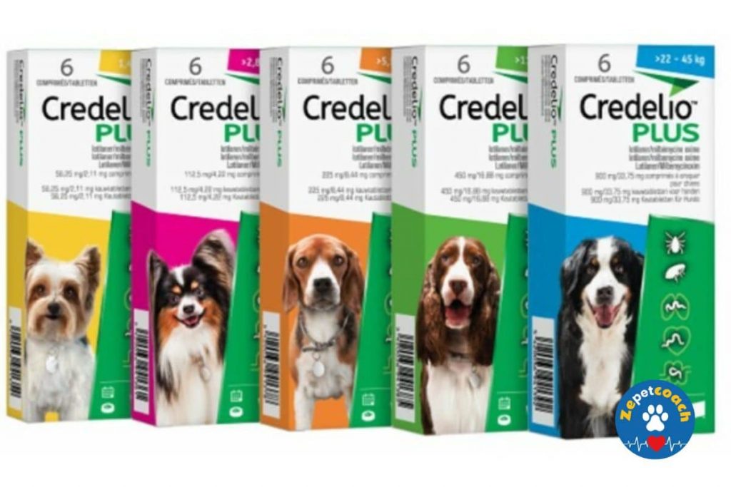 Credelio Plus pour Chiens