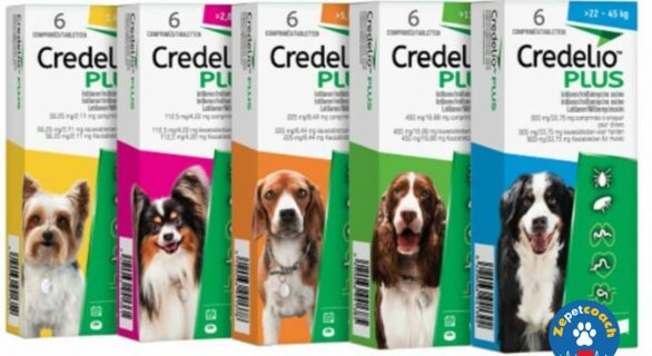 Credelio Plus pour Chiens