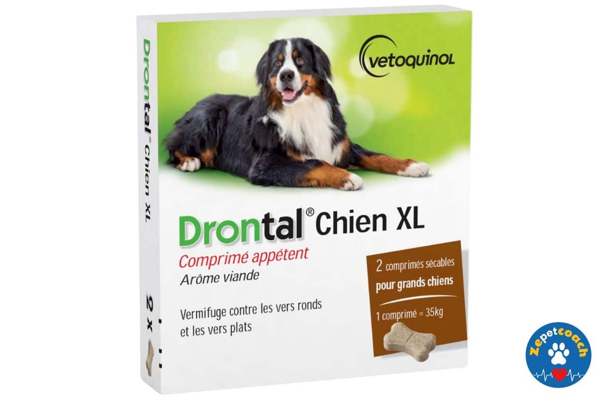 Drontal Chien