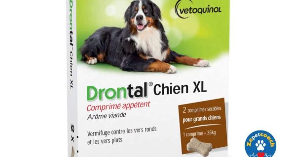 Drontal XL Chien