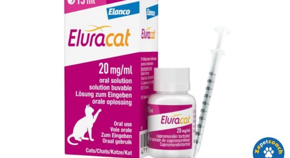 Eluracat