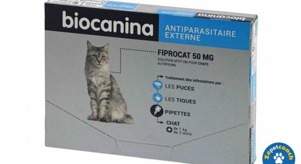 Fiprocat 50mg Spot-on Chat