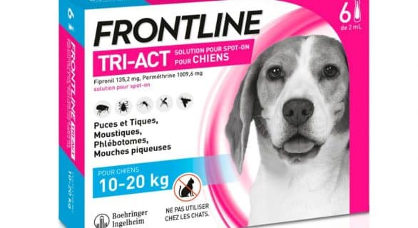 FRONTLINE TRI-ACTⓇ SOLUTION POUR SPOT-ON POUR CHIENS 10-20 KG