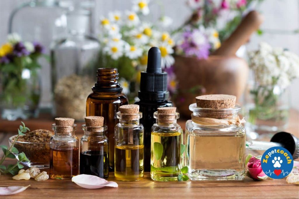 Huiles essentielles contre les parasites externes