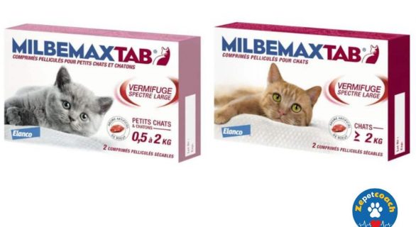 MilbemaxTab pour Chatons et Petits Chats