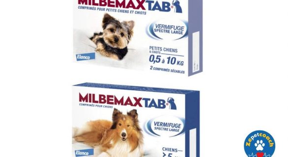 MilbemaxTab pour Chiots et Petits Chiens