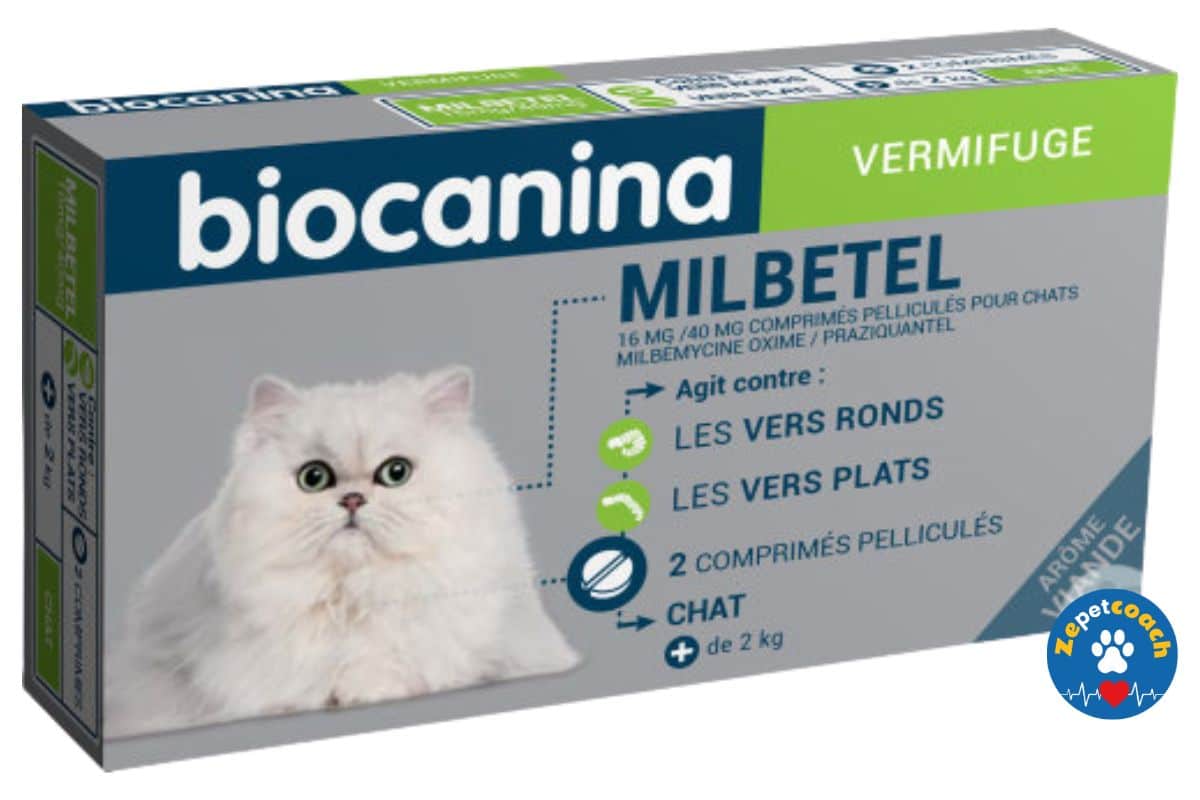 Milbetel Chat