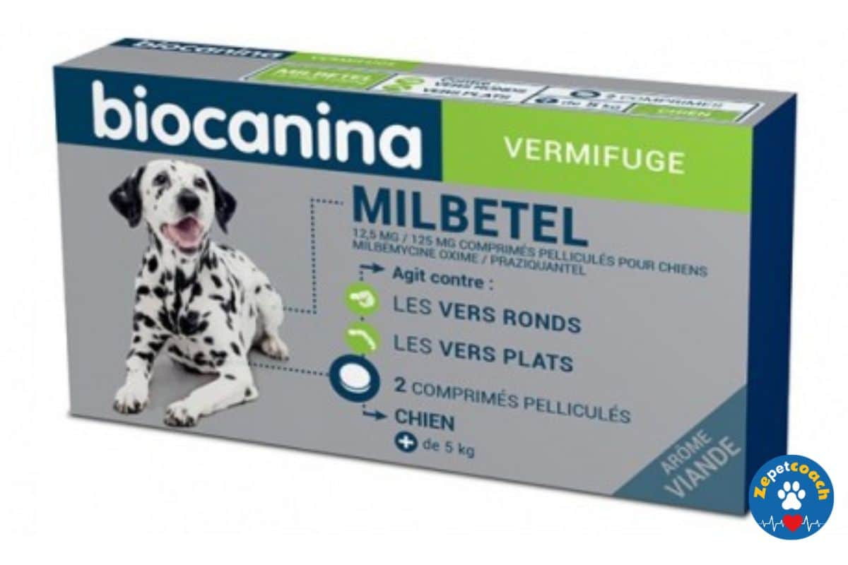 Milbetel Chien