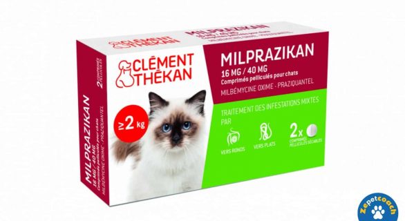 Milprazikan Chat
