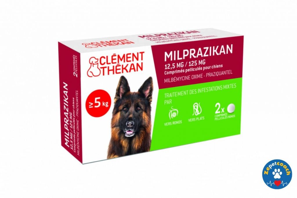 Milprazikan Chien : vermifuge vers ronds et vers plats