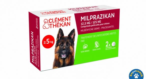 Milprazikan Chien