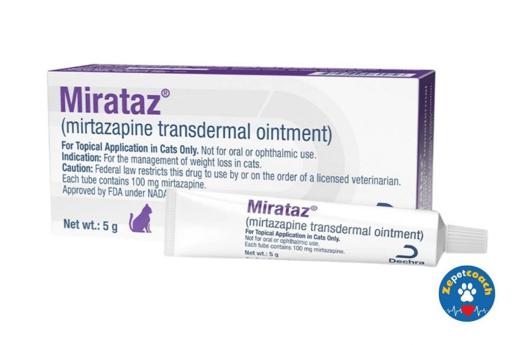 Mirataz chat