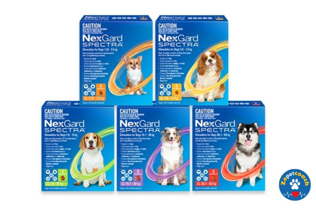 Nexgard Spectra