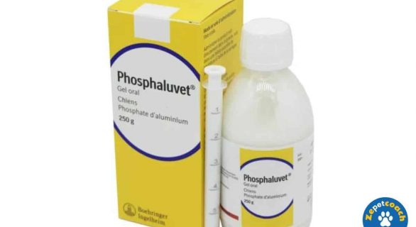 Phosphaluvet