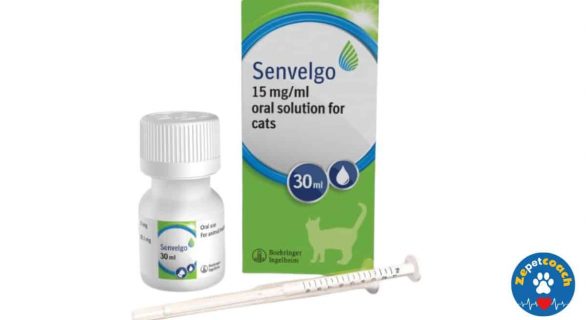 Senvelgo