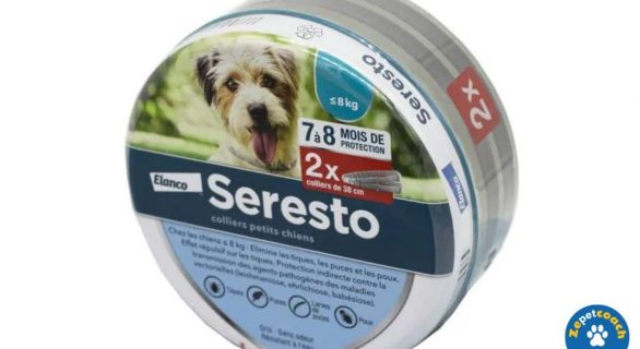 Collier Seresto Petit Chien