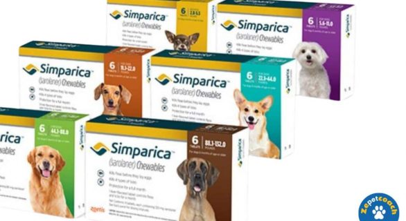 Simparica