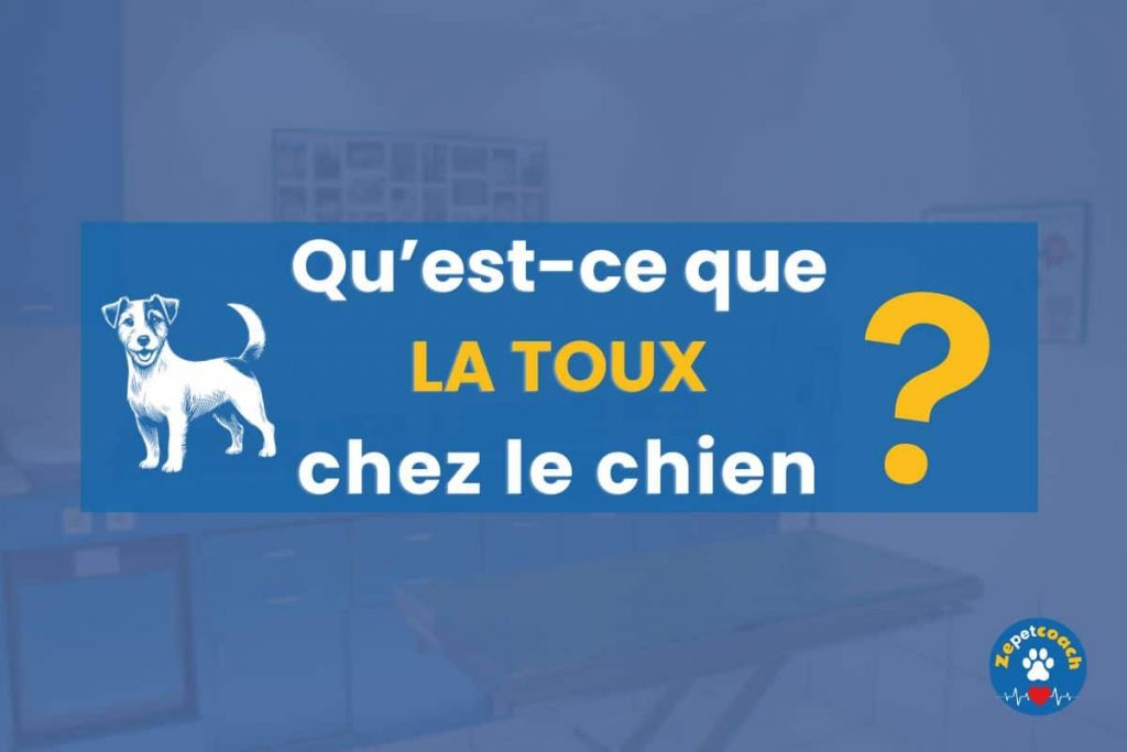 toux chez le chien