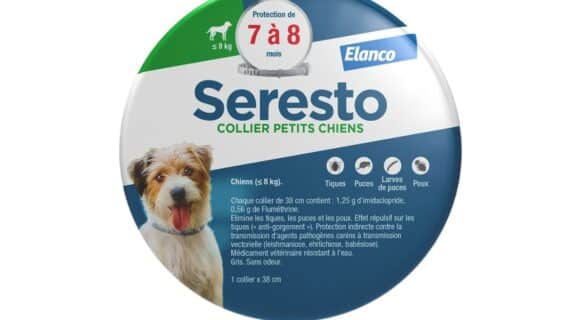 Seresto petit chien
