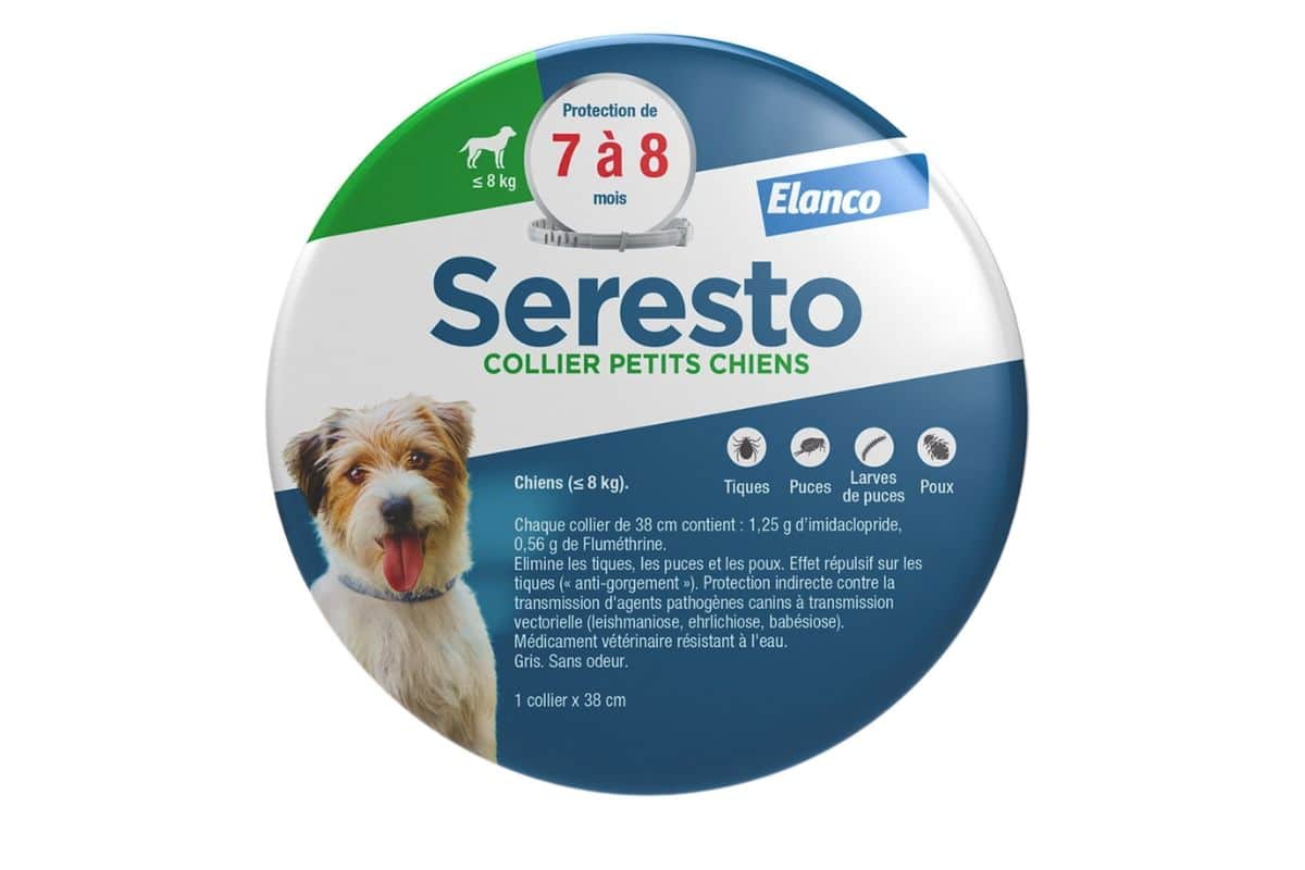 Seresto petit chien